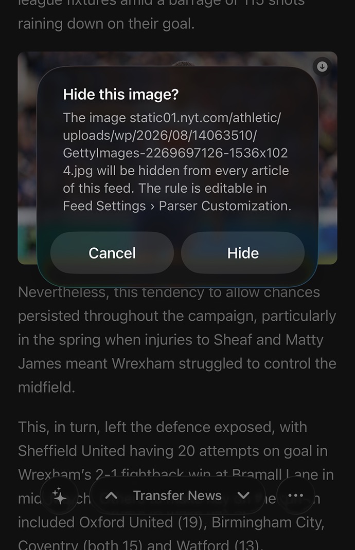 The confirmation dialog spelling out exactly which image will be hidden from the feed's articles