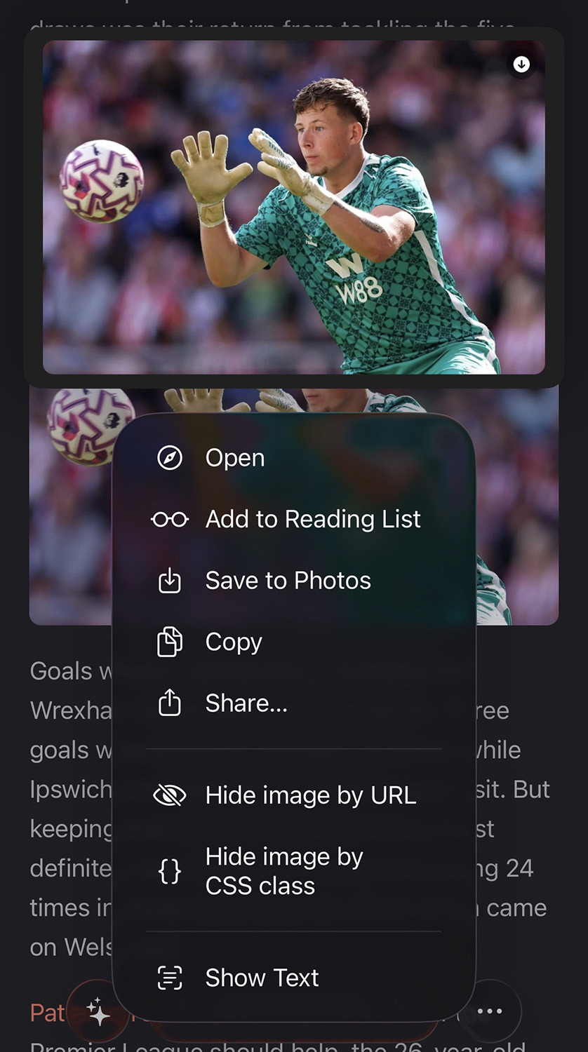 Long-pressing an image in an article shows the system menu with Hide image by URL and Hide image by CSS class